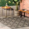 CHARCOAL TUCANA NATIVE TOKENS INDOOR/OUTDOOR RUG