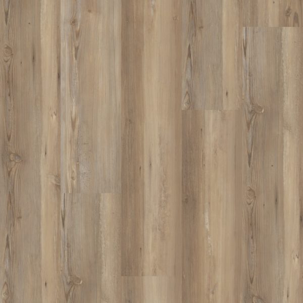 STAINMASTER Mecklenberg Pine