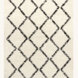 Simple Trellis With Braided Tassels Rug